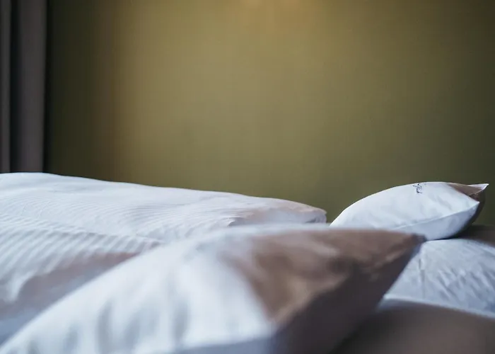 酒店 Chesa Monte 4sterne Superior 4*