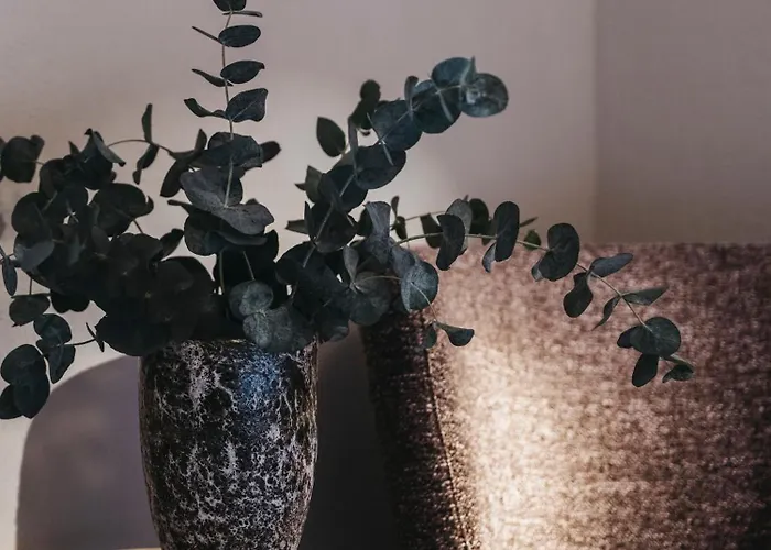 Chesa Monte 4sterne Superior 4*